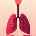 A diagram of lungs with gentle wavy lines illustrating breathwork, symbolizing conscious breathing.